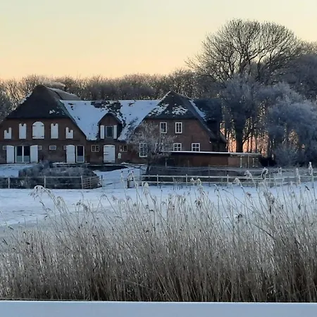 Sina Og Hof Doettgebuell