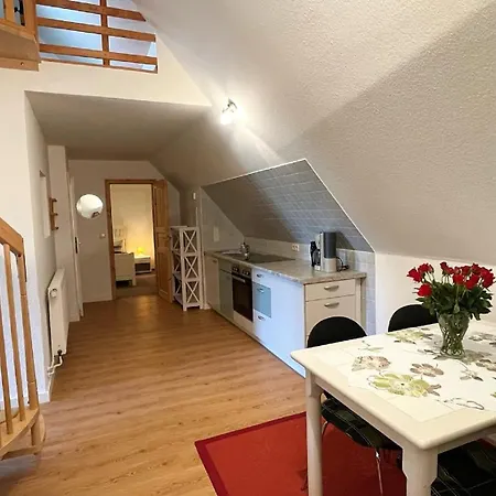 Sina Og Hof Doettgebuell