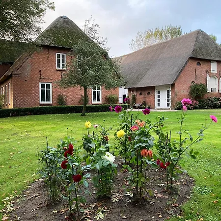 Sina Og Hof Doettgebuell