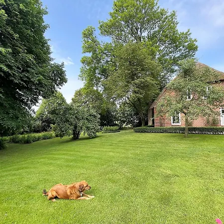 Sina Og Hof Doettgebuell * Aventoft